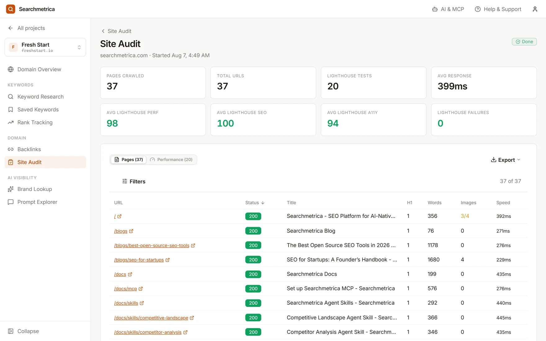 Searchmetrica site audit report